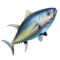 Yellowfin