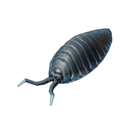 Pillbug