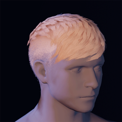 Hair 22