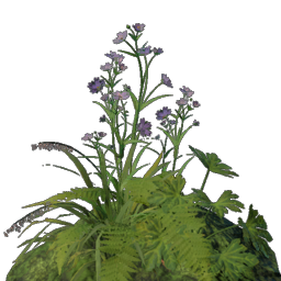 Fertile Blackmire Dirt