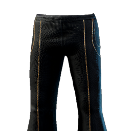 Scholar Of The Empyrean Pants