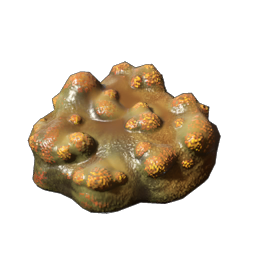 Shroud Mushroom.png