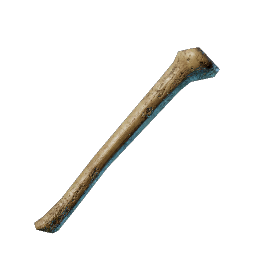 Bones.png
