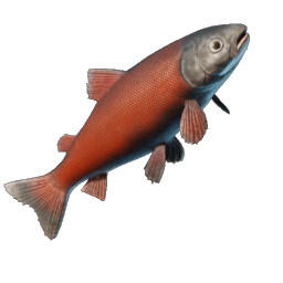 Crimsonback