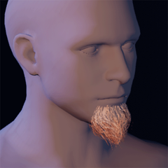 Beard 12