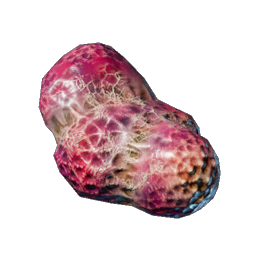 Spider Gland.png