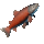 Any Rare Fish.gif