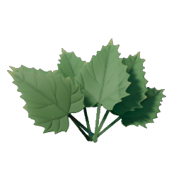 Stinging Nettle