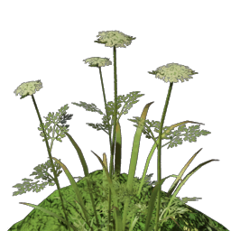 Fertile Springlands Dirt