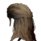 Light Brown Hair.png